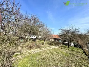 Prodej zahrady, Dyje, 511 m2