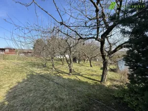 Prodej zahrady, Dyje, 511 m2