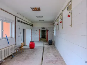 Prodej skladu, Bílovec, 650 m2