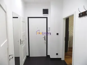 Pronájem bytu 1+kk, Praha - Nusle, Na Veselí, 45 m2