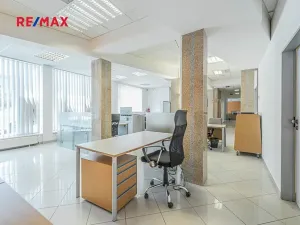 Pronájem kanceláře, Kladno, Osvoboz. pol. vězňů, 183 m2