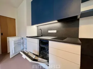 Pronájem bytu 1+kk, Brno, Peroutková, 25 m2