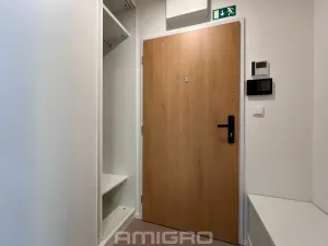 Pronájem bytu 1+kk, Brno, Peroutková, 25 m2