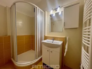 Pronájem bytu 3+1, Brno, Veletržní, 66 m2