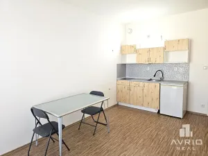 Pronájem bytu 1+kk, Brno, Křehlíkova, 31 m2
