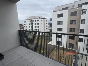 Pronájem bytu 1+kk, Opava - Předměstí, Císařského pluku, 42 m2