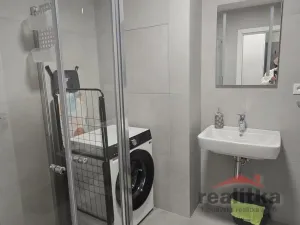 Pronájem bytu 1+kk, Opava - Předměstí, Císařského pluku, 42 m2