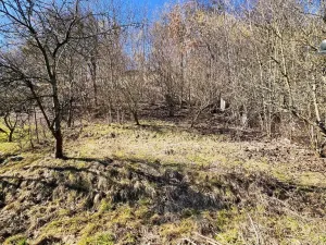 Prodej zahrady, Moravská Třebová - Předměstí, 553 m2