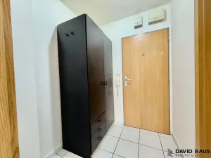 Pronájem bytu 1+kk, Brno - Královo Pole, Božetěchova, 37 m2