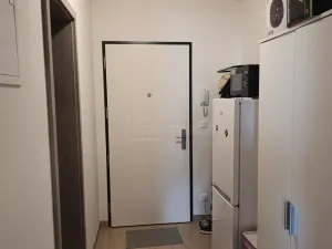 Pronájem bytu 1+kk, Praha - Vysočany, Strnadových, 16913 m2