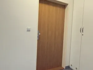 Pronájem bytu 1+kk, Brno, Vinohrady, 38 m2