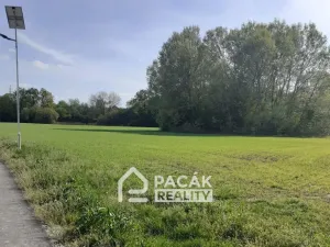 Prodej pole, Kožušany-Tážaly - Kožušany, 15995 m2