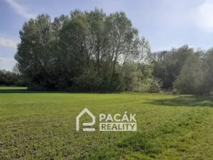 Prodej pole, Kožušany-Tážaly - Kožušany, 15995 m2