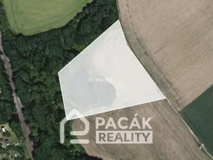 Prodej pole, Kožušany-Tážaly - Kožušany, 15995 m2