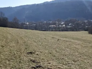 Prodej louky, Ústí nad Orlicí - Kerhartice, 49647 m2