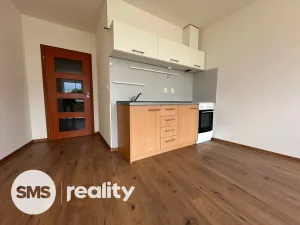 Pronájem bytu 1+kk, Opava, Hálkova, 33 m2