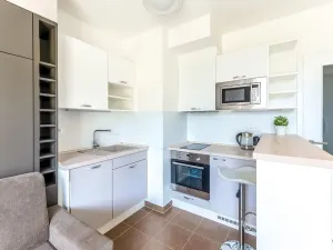 Prodej bytu 1+kk, Praha - Žižkov, Olgy Havlové, 26 m2