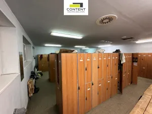 Pronájem výrobních prostor, Litvínov - Záluží, 7684 m2