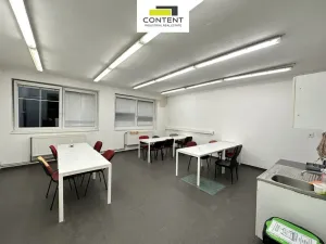 Pronájem výrobních prostor, Litvínov - Záluží, 7684 m2