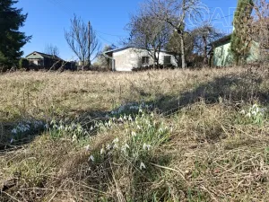 Prodej pozemku pro bydlení, Alojzov, 2345 m2