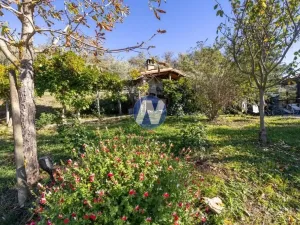 Prodej vily, Castiglion Fiorentino,Itálie, 183 m2