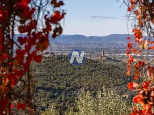 Prodej vily, Castiglion Fiorentino,Itálie, 183 m2