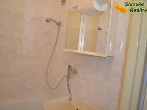 Pronájem bytu 1+1, Ostrava, Mjr. Nováka, 36 m2