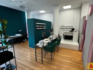 Pronájem obchodního prostoru, Brno - Brno-město, 1100 m2