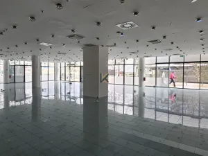 Pronájem obchodního prostoru, Praha, Siemensova, 146 m2