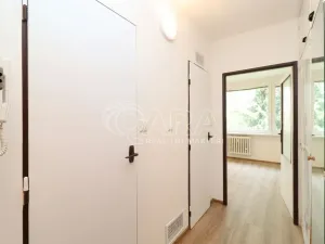 Pronájem bytu 1+kk, Praha, Šimůnkova, 33 m2