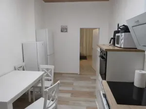 Pronájem bytu 2+1, Ústí nad Labem - Střekov, Železničářská, 56 m2