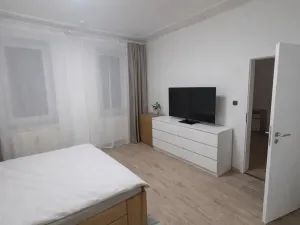 Pronájem bytu 2+1, Ústí nad Labem - Střekov, Železničářská, 67 m2