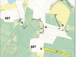 Prodej lesa, Červená Řečice, 1152 m2