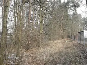 Prodej lesa, Řípec, 27546 m2