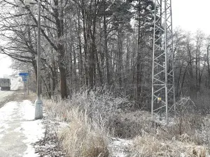 Prodej lesa, Řípec, 27546 m2