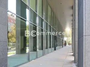 Pronájem kanceláře, Brno, 160 m2