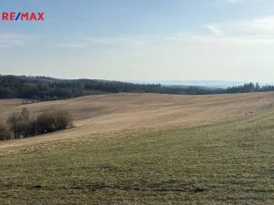 Prodej louky, Nový Hrádek, 18276 m2