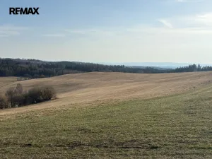 Prodej louky, Nový Hrádek, 18276 m2
