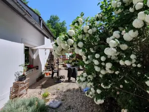 Prodej rodinného domu, Sluštice, 206 m2