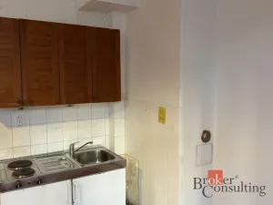 Pronájem bytu 1+kk, Praha - Střešovice, Farní, 19 m2