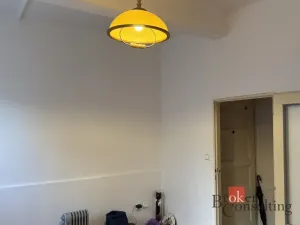 Pronájem bytu 1+kk, Praha - Střešovice, Farní, 19 m2