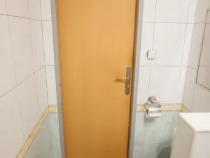 Pronájem bytu 3+1, České Budějovice - České Budějovice 3, Plzeňská, 64 m2