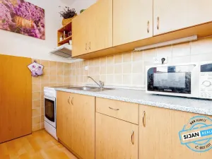 Pronájem bytu 2+1, Vítkov, Budišovská, 48 m2