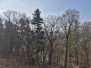 Pronájem bytu 4+1, Třinec, Sosnová, 94 m2