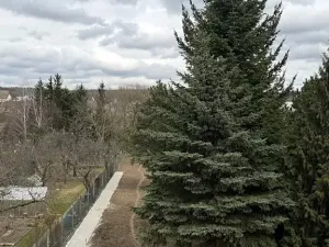 Prodej bytu 3+kk, Česká, 99 m2