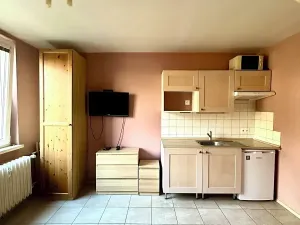 Pronájem bytu 1+kk, Karlovy Vary, Lidická, 22 m2