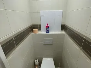 Prodej bytu 2+1, Lovosice, Palackého, 65 m2