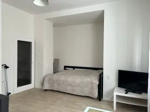 Pronájem bytu 1+kk, Praha - Nusle, Na bitevní pláni, 40 m2