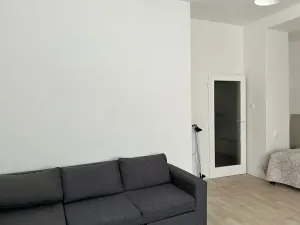 Pronájem bytu 1+kk, Praha - Nusle, Na bitevní pláni, 40 m2
