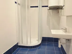 Pronájem bytu 2+1, Praha - Žižkov, Ambrožova, 77 m2